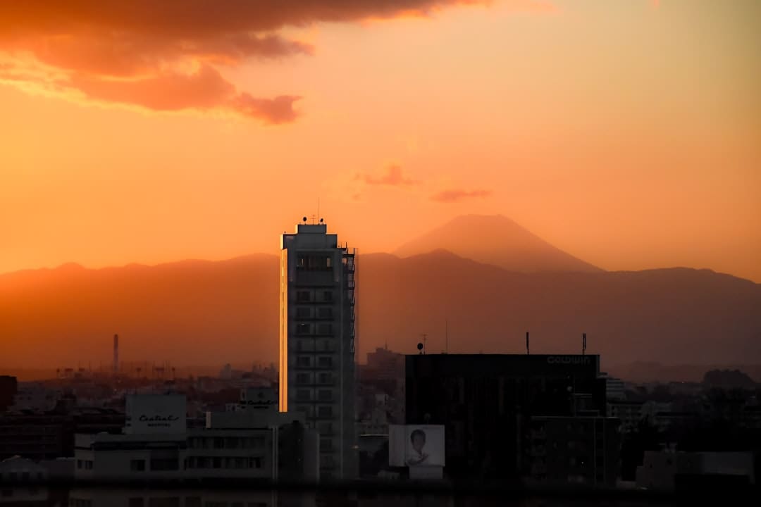 农机翻田忙 鹭影伴耕欢